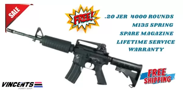 Double Belle 036 M4A1 (AEG)